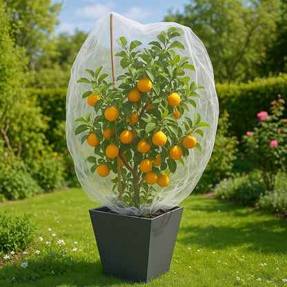 Fruit Tree Protection Bags 4.5x6 FT in 4 Pack | Multiple Size Garden Netting for Fruit & Vegetable Protection | White Plant Net Cover for Blueberry & Tomato | Bird & Insect Mesh Fabric Protector