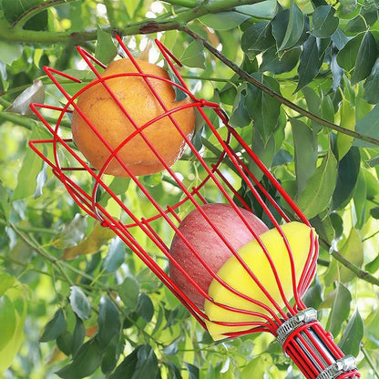 2.4m Fruit Picker Apples Picker Tool for Picking Lemon Pear Orange Avocado Peach