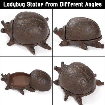 Hide a Key Ladybug Statue, Cast Iron Key Hiders Outside, Decorative Outdoor Spare Keys Holder, Animal Shaped Hidden Keys Holders for Indoor Garden Yard Patio Decor, Brown