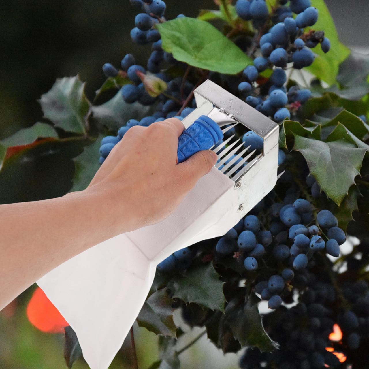 SUPVOX Blueberry Picker with Handle Ergonomic Berry Picker Tool for Effortless Blueberry Harvesting Ideal Gardening Tool for Home Use and Berry Picking Adventures