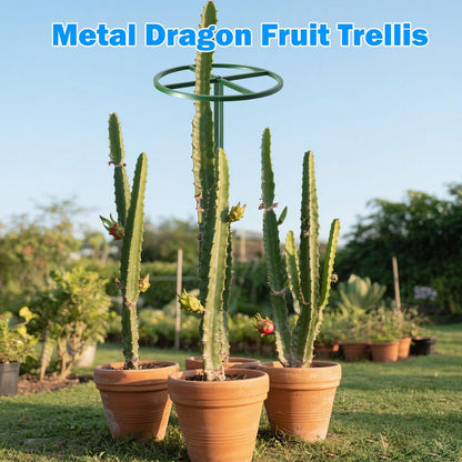 1 Pcs Adjustable Round Dragon Fruit Trellis,Durable Metal Plant Trellis Outdoor Climbing Plants Support Frame for Vertical Gardening Trees Cactus Green