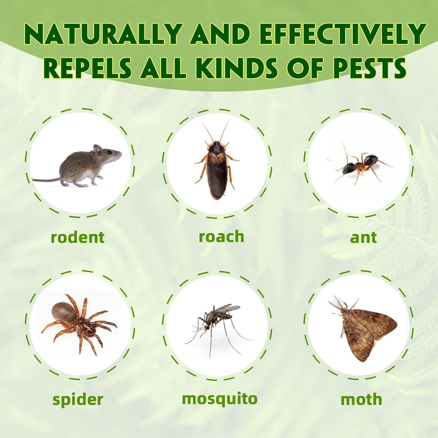 Rodent Repellent with Peppermint Oil, Mouse/Mice/Rat/Squirrel Deterrent for Car Engines, Garage, Attic – Indoor Outdoor Use – Alternative to Mouse Trap & Moth Balls.