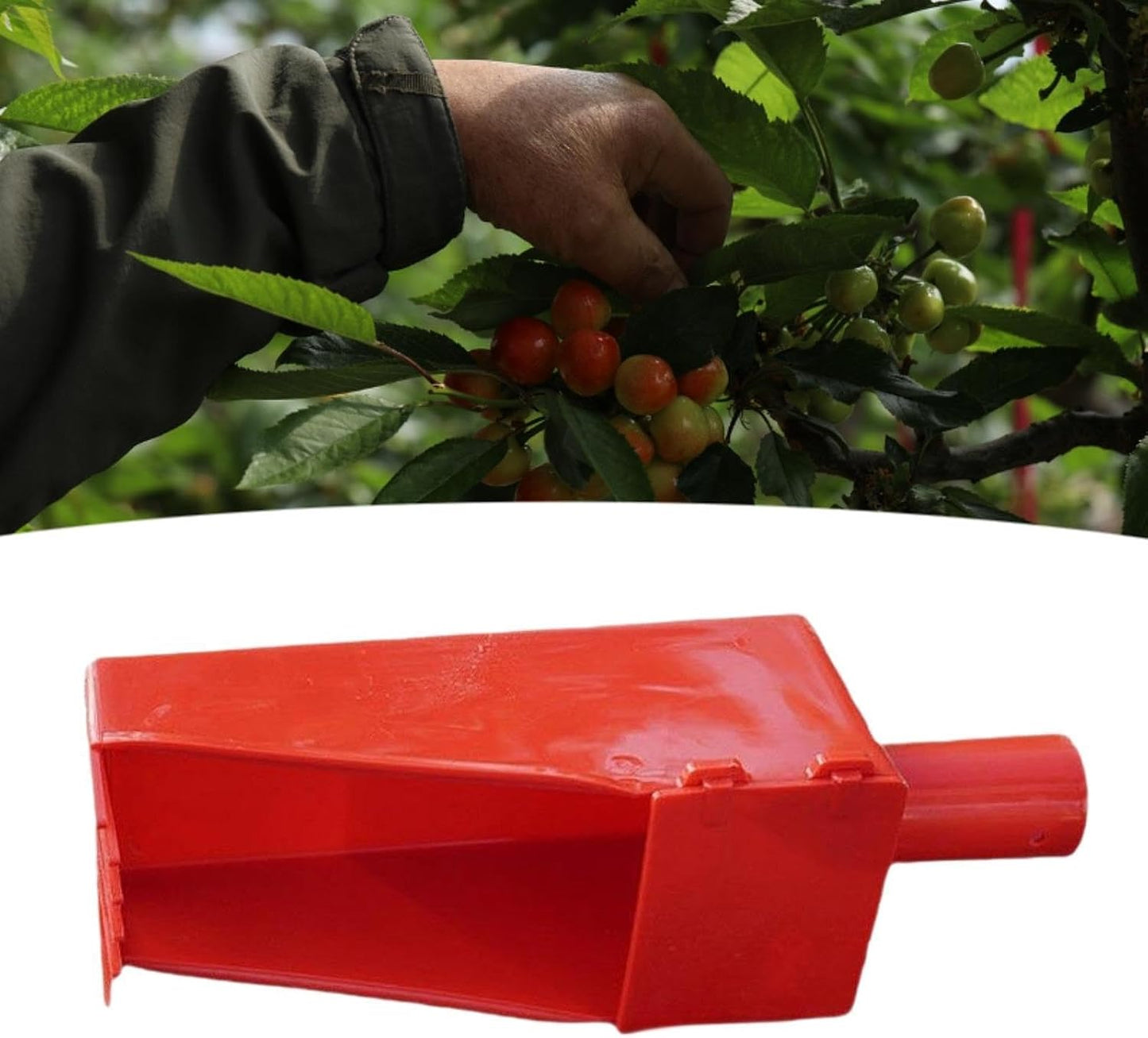 Fruit Picker Gardening Jujube Picking Tool Easy to Use Practical Versatile Manual Jujube Picker Tree Pickers for Backyard