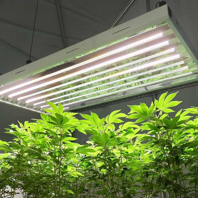 Active Grow 4FT T5 HO LED Grow Light – 8×25W Full Spectrum Panel, Sun White Pro, Daisy-Chainable – Ideal Grow Light for Indoor Plants, Seeds & Starts, T5 Grow Lights Fixture