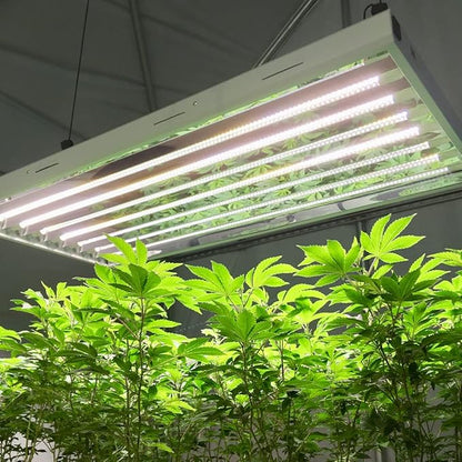 Active Grow 4FT T5 HO LED Grow Light – 8×25W Full Spectrum Panel, High CRI 95, Daisy-Chainable – Ideal Grow Light for Indoor Plants, Veg & Bloom, T5 Grow Lights Fixture