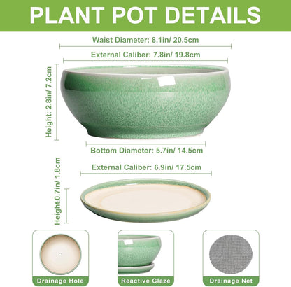 SQOWL Bonsai Planter - 8 Inch Ceramic Succulent Planters for Indoor Plants Outdoor, Shallow Round Planter with Drainage Hole and Saucer, Ceramic Bowl Planters, Home Decor, Birthday Gifts, Green