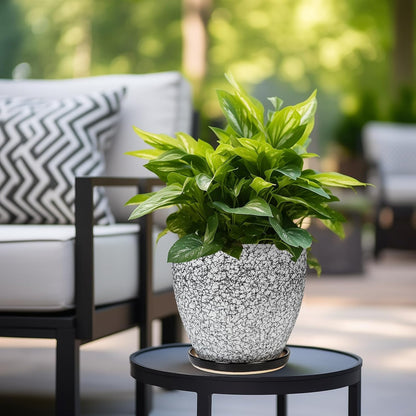 Ceraimc Plant Pot - 8 Inch Planter with Drainage and Saucer, Modern Round Planter, Flower Pot for Indoor Outdoor Plants, Home Room Garden Apartment Decor, Gifts for Plant Lovers, White-Black