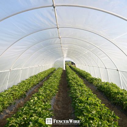 CAPHAUS 6 mil Clear Greenhouse Plastic Sheeting, 4-Year UV Resistant Polyethylene Film, Hoop House Cover for Horticulture, Gardening, Farming and Agriculture, 90% Light Transmittance, 25’ x 32’