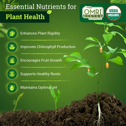 FoxFarm BushDoctor Cal-Mag - Liquid Calcium & Magnesium Supplement, Prevents Blossom End Rot & Tip Burn - Formula with 3% Calcium, 0.9% Magnesium for Gardening- NPK 1-0-0 (Quart)