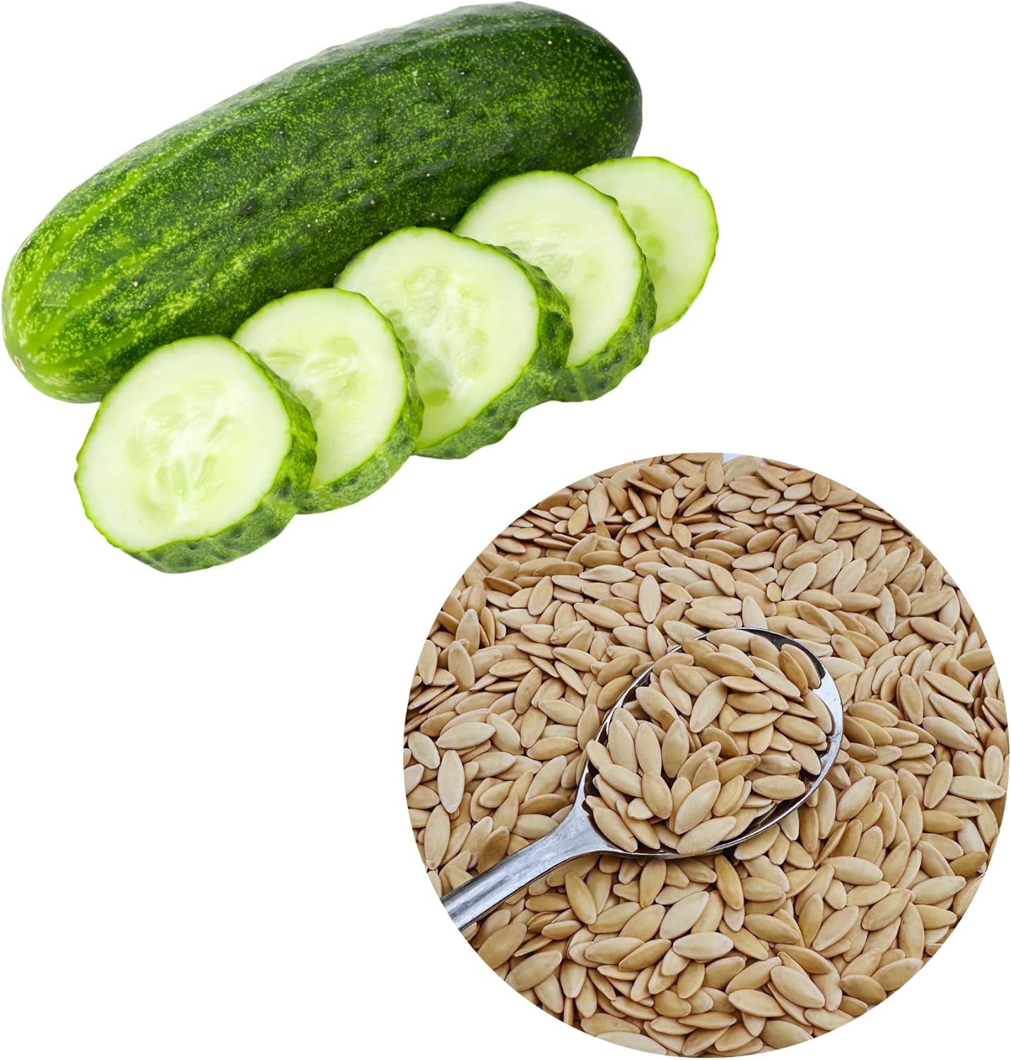 Over 150 Pickling Cucumber Seeds – Organic Heirloom, Non-GMO, High Germination Rate – Perfect for Planting in Home Gardens & Fresh Pickles