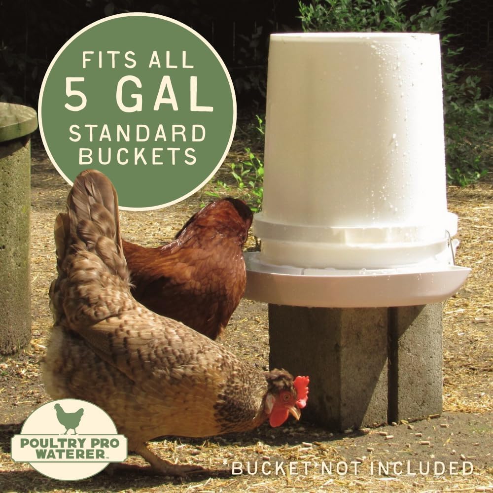 DIY Port PVC Gravity Fed Chicken Feeder 3 Ports and Hole Saw | Use for Buckets, Barrels, Bins, Troughs | Rain Proof, Weather Resistant, No Waste (Feeder and Waterer Bundle)