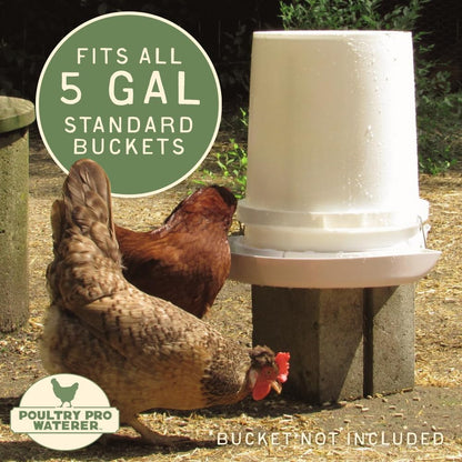 The Original Poultry Pro Waterer | DIY Chicken Waterer for Chicken Coop | Hands Free Poultry Waterer Suitable for Pigeons, Ducks, Chickens & Other Smaller Birds - Fits All 5 Gallon Buckets