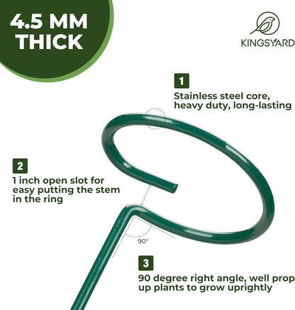 Kingsyard 10 Pack Plant Support Stakes - 4.5mm Thick Adjustable Sizes 16 or 32 Inch, Metal Plant Stakes for Indoor Plants or Outdoor Plants, for Garden Flowers Tomatoes Monstera