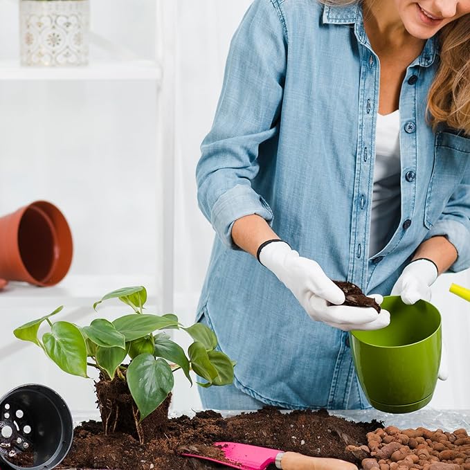 Organic Pothos Soil Mix 10qt, Indoor Plants Potting Mix for All Potted Pothos, Grow Healthy houseplants Indoors