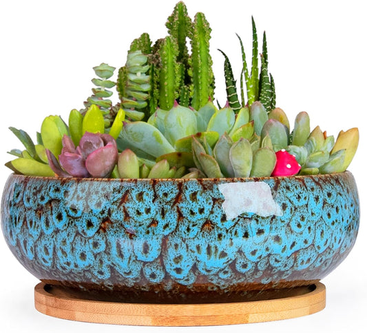 ARTKETTY Succulent Pots - 7.5 Inch Large Plant Pot with Bamboo Tray, Shallow Bonsai Pots with Drainage, Ceramic Planter for Indoor Plants, Cactus, Home Office Desk Decor