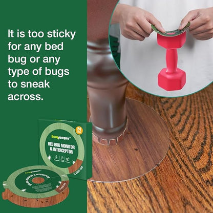 EcoVenger Bed Bug Monitor & Interceptor Super Glue Traps 48 Ct, Discreet Floor Color Classic Oak, Blocks Bed Bugs' Access to Beds/Futon/Couch, for Hard Floor, New Upgraded Version Easier to Peel & Use