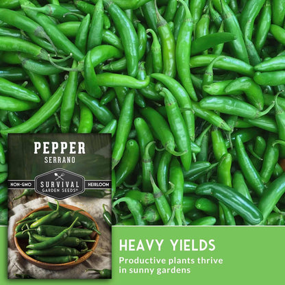 Mexican Serrano Pepper Seeds for Planting | Fresh Hot Chili & Green Hot Pepper Seeds – Heirloom Non‑GMO Variety for Sauce, Pickling & Salsa – Survival Garden Seeds (1 Pack)