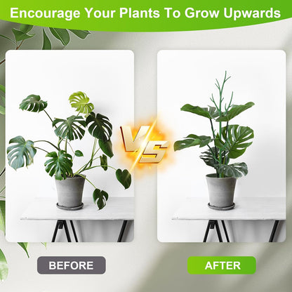 7 Pack Monstera Plant Support - 24.4" Plant Support Stakes for Indoor Plants Sticks Support Tall Indoor Plant Stakes with Twist Ties Stackable Plant Stem Support for Monstera Plants