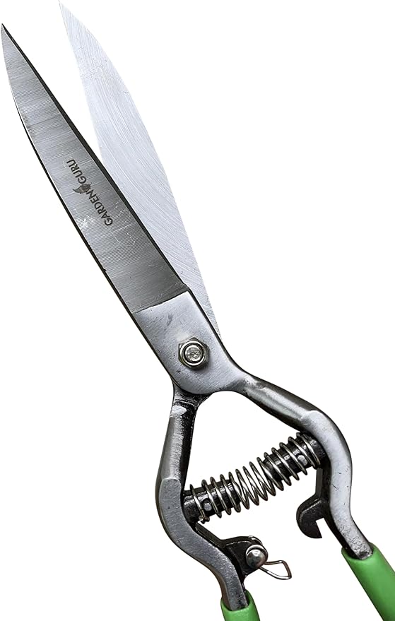 GARDEN GURU Hand Grass Clipper Scissors – Classic Forged Steel Grass Shears Pruners – Comfort Grip Handles – Perfect for Hand Edging Lawn, Trimming Shrubs & Flowers, Gardening, Landscaping (2 Pack)