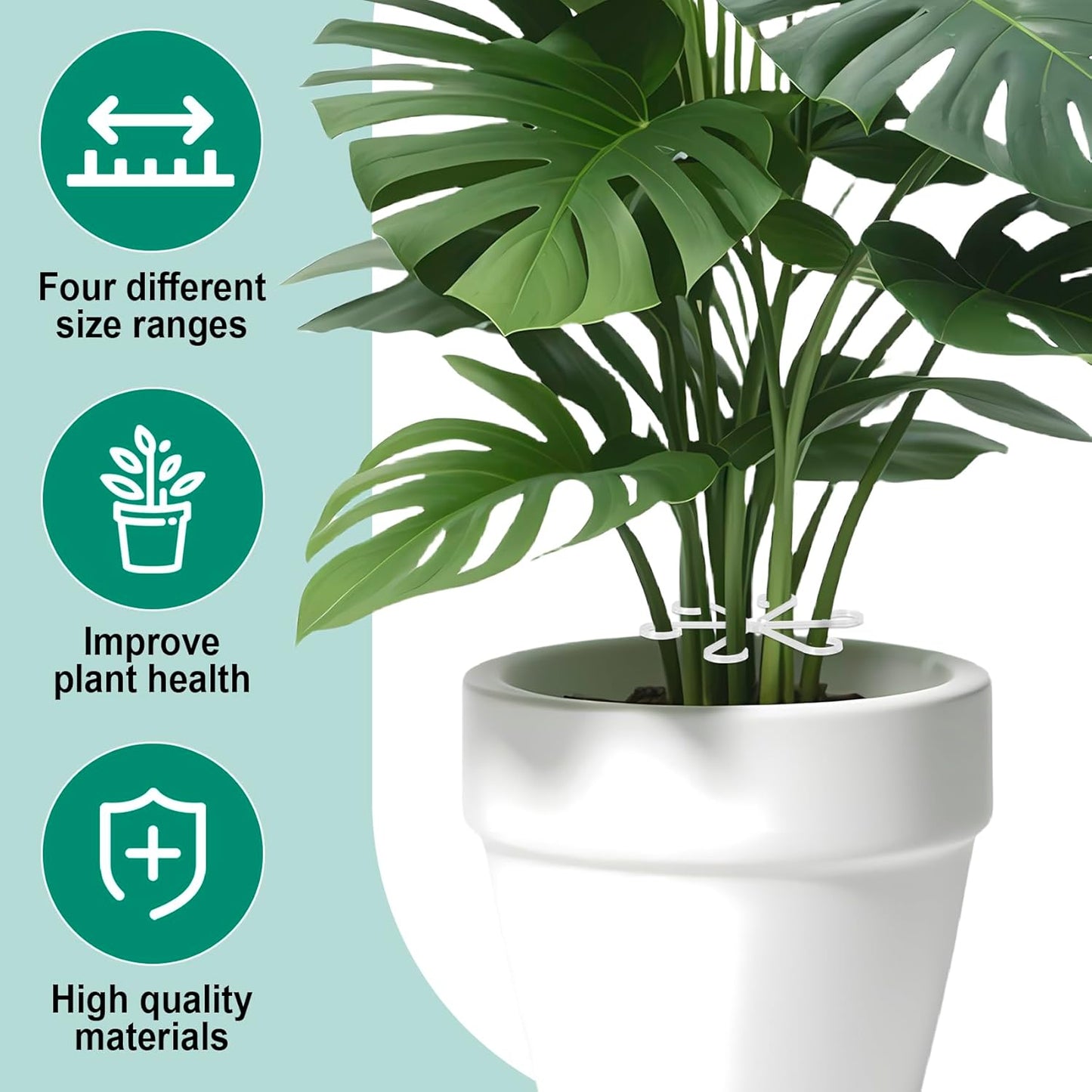 8PCS Plant Stem Support, 4 Sizes Climbing Houseplant Stem Holders, Plastic Reusable Flower Trellis Stem Hook Plant Care Growth Accessories for Flower Plants Indoor Outdoor - Clear