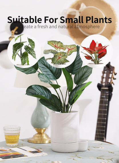5.5 Inch Ceramic Self Watering Planters with Absorbent Cotton Rope, Cylinder Round Flower Pot for Succulent, Herbs, African Violets, White, 1 Pack