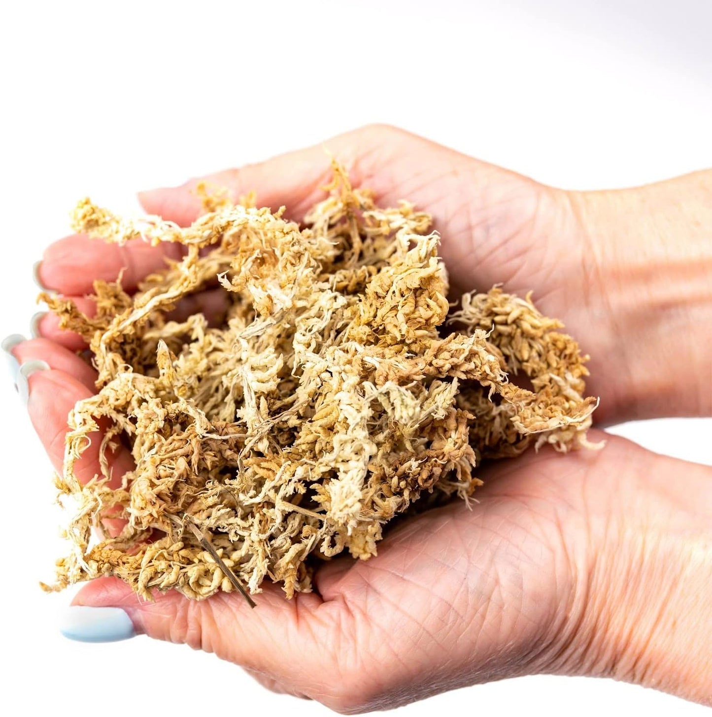 Premium New Zealand Sphagnum Moss by Gardenera - Organic Hand Mixed Long Fibered Sphagnum Moss Orchid - 2 Quart