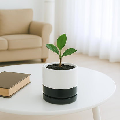 D'vine Dev 4.7 Inch Ceramic Planter Pot with Drainage Hole and Saucer, Indoor Cylinder Round Planter Pot, Layered Monochrome Black & White, 94-O-B-L