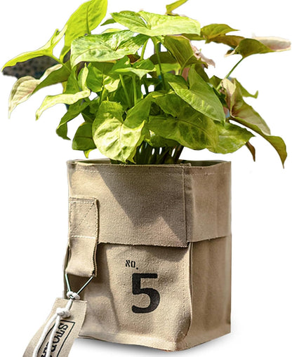 Durable Canvas Plant Pot, Creative Fabric Planter for Succulents, Indoor and Outdoor Flower Pots, Stylish Canvas Planters for Gardening and Home Décor