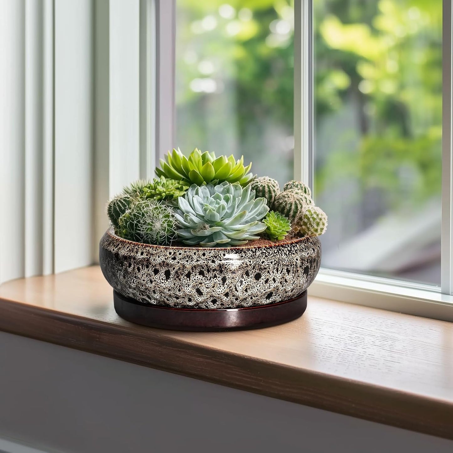 Succulent Pots 10 Inch - Ceramic Bonsai Pots with Drainage Hole and Tray, Large Succulent Planters, Shallow Planter Indoor, Round Planter Bowl, Window Decor, Gifts for Plant Lovers, White
