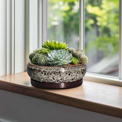 Succulent Pots 10 Inch - Ceramic Bonsai Pots with Drainage Hole and Tray, Large Succulent Planters, Shallow Planter Indoor, Round Planter Bowl, Window Decor, Gifts for Plant Lovers, White