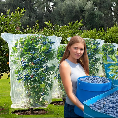 Bird Netting for Blueberry Bushes - Garden Netting Pest Barrier with Drawstring Tomato Protective Cover Garden Plant Netting for Cicadas Vegetables 4P (2.6x3.3 FT)