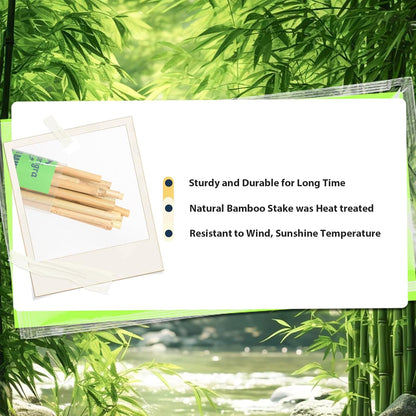 Bamboo Stakes 57 Inch, Approx 5FT Garden Stakes Multi-Purpose, Plant Stakes for Tomatoes, Beans, Cucumbers, Peppers, Flowers, Potted, Maintain The Plant Posture, Strengthen and Stem