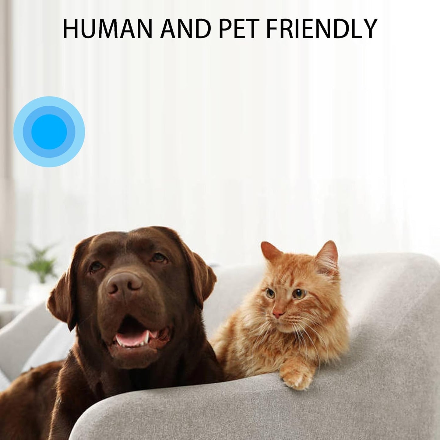 Ultrasonic Bat Repeller - Effective Removal Device for Home & Outdoor - Humane & Pet Safe Deterrent
