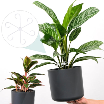 8PCS Plant Stem Support, 4 Sizes Climbing Houseplant Stem Holders, Plastic Reusable Flower Trellis Stem Hook Plant Care Growth Accessories for Flower Plants Indoor Outdoor - Clear