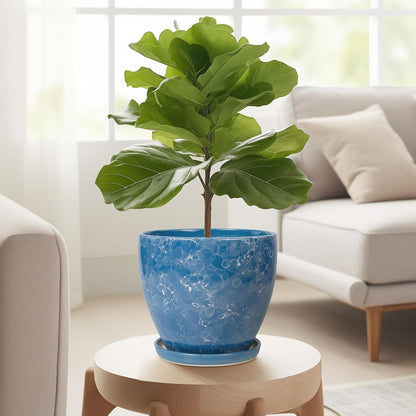 Ceramic Pots for Plants - 6 Inch Planter with Drainage Hole and Plant Tray, Decorative Succulent Pot, Round Flower Planter for Indoor, Garden Living Room Decor, Gifts for Plant Lovers, Blue