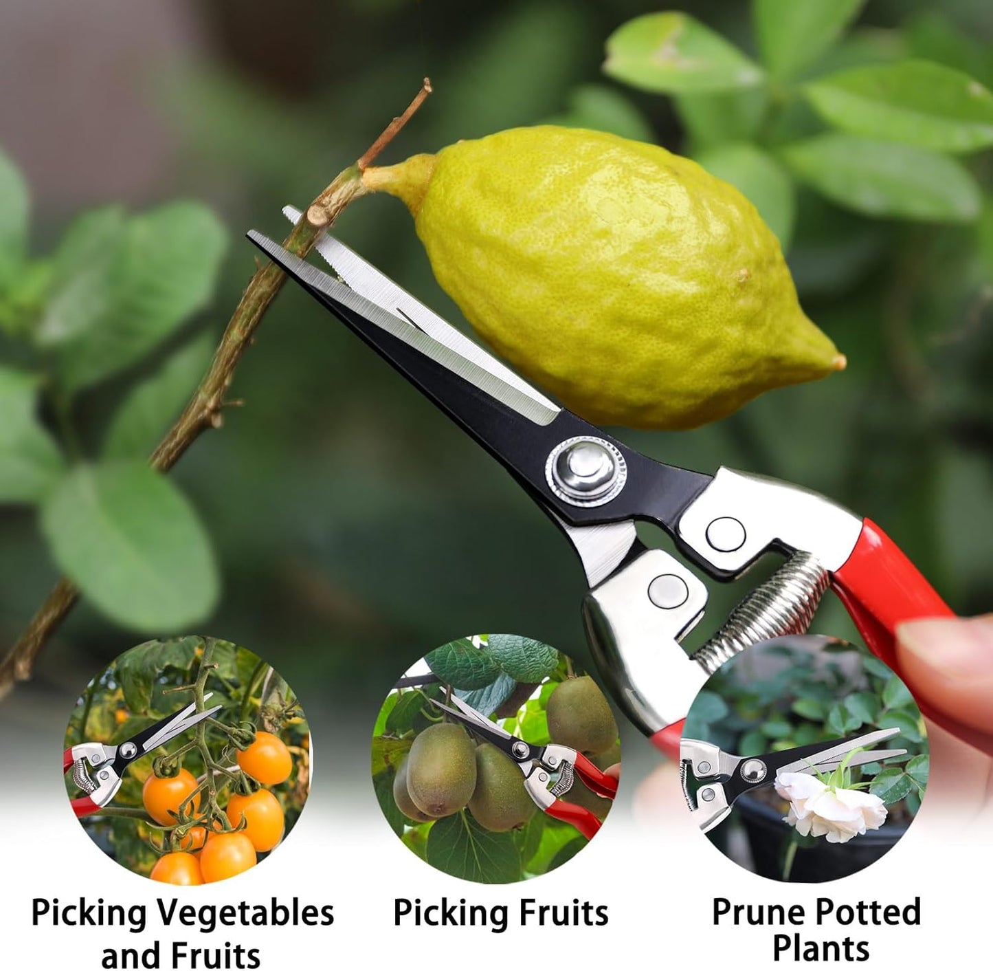 Kynup 3Pack Pruning Shears, Garden Shears, Pruning Shears for Gardening, Gardening Shears Scissors Clippers, Garden Tools Set with Gloves, Stainless Steel, Soft Grip Handle