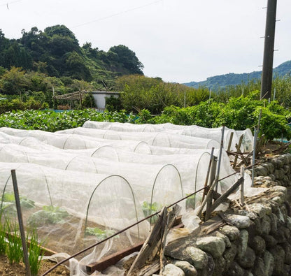 Garden Netting Pest Barrier: 8'x10' Fine Bug Netting for Garden Protection Row Cover Raised Bed Screen Mesh Greenhouse Mosquito Net, Protecting Tree Plants Vegetable Flowers Fruits