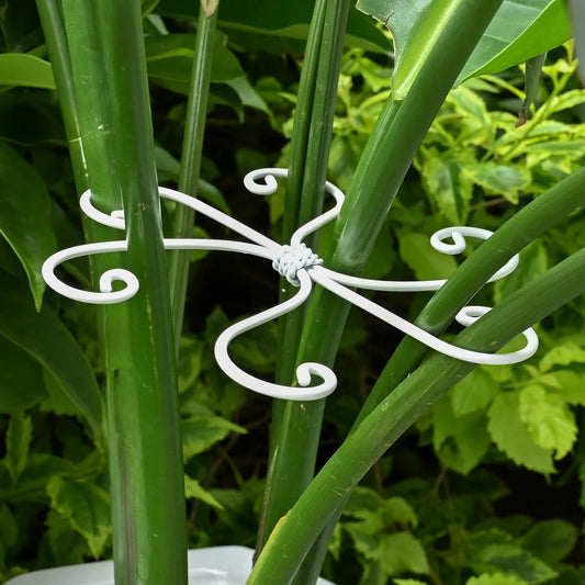 5PCS Monstera Plant Support Hook - 5.5x5.5 inch Premium Indoor Stem Stabilizer for Monstera &