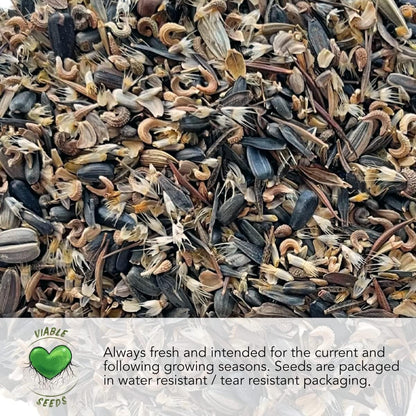 Seed Needs Sunflower Seeds to Plant Sunset Blend 7 Varieties Mix | 750+ Seeds Helianthus Annuus Heirloom Open Pollinated Bulk Flower Seed | Multicolored Sun Flowers Garden Favorite