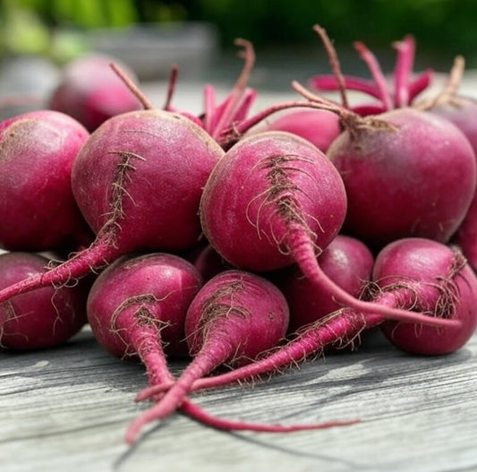 Ruby Queen Beet Seeds for Planting – Plant & Grow Heirloom Red Beets in Home Outdoor Vegetable Garden, Beta vulgaris – 2 Packets