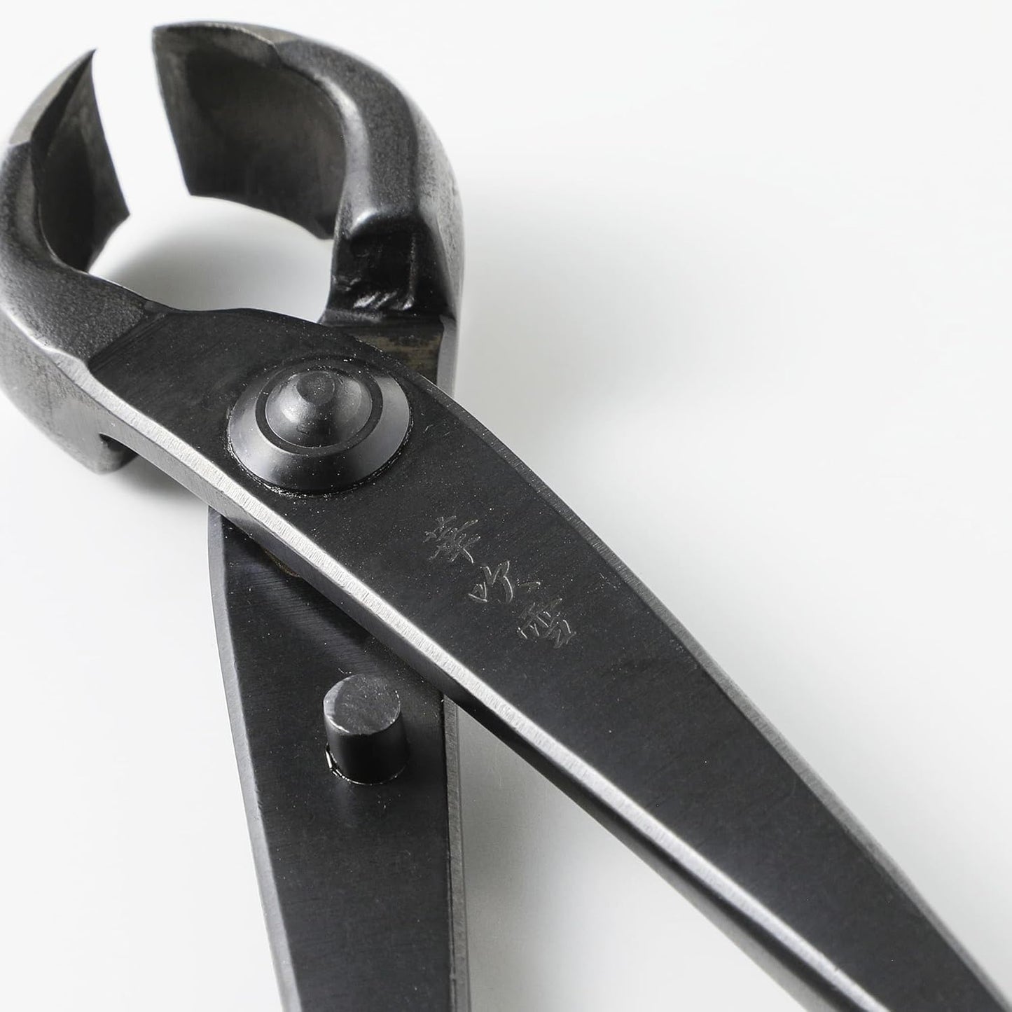 Wazakura Hand Forged Knob Bonsai Cutter Made in Japan 8-1/4 inch (210mm), Japanese Gardening Tools, Round Edge Concave Branch Cutter Black