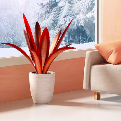 TOMBABY Enlarge Thickened Wind Resistant Metal Agave Garden Art Metal Plant Country Garden Sculpture Statue Outdoor Decoration Agave Metal Plant Courtyard Lawn Ornament Gift (2, 12 Leaves red)