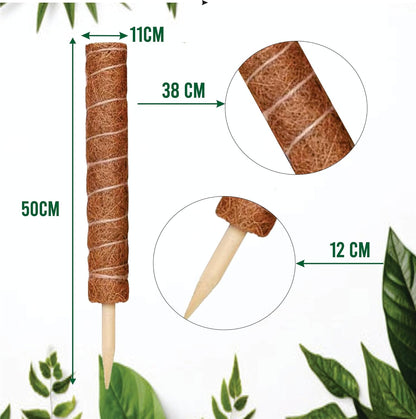 Moss Pole Pack of 4 – 50CM Monstera Plant Support | Natural Coco Coir Plant Poles for Indoor Plants | Extendable Moss Sticks for Climbing Plants, Pothos & Philodendron