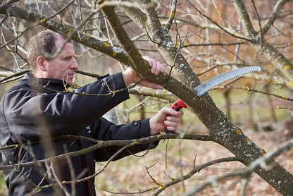 Felco F 630 Full-stroke pruning saw, 13 in, Red, Silver, Black