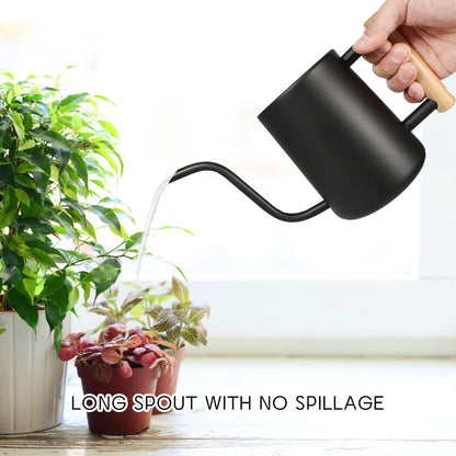 Watering Can for Indoor Plants, 35 oz/1000 ml Metal Stainless Steel Pot with Long Spout for House