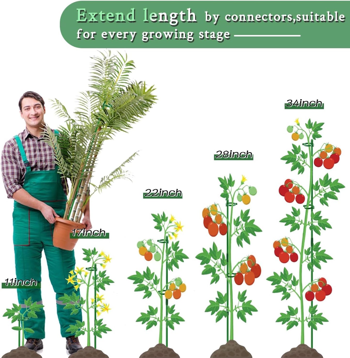 Plant Stakes 17inch &11inch SupKing Adjustable Length Plant Support Stake 16Pcs Green Orchid Stick with Clips for Indoor Outdoor,Garden Pole for Potted Tomato Amaryllis Vegetables Comes with 20 Ties