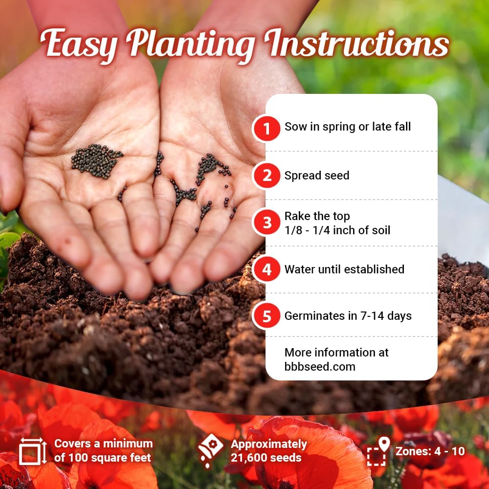 Parade of Poppy Wildflower Seeds - 1oz, Open-Pollinated Flower Seed Mix Packets, No Fillers, Annual, Perennial Wildflower Seeds, Year Round Planting - 1 oz