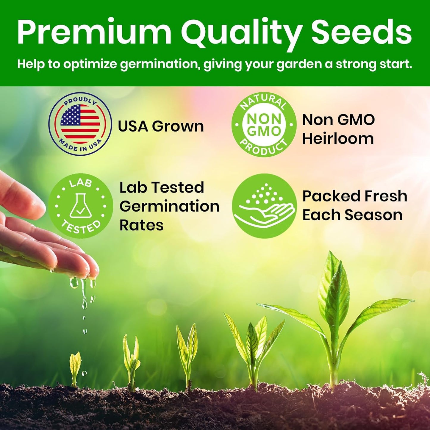Echinacea Seeds, Purple Coneflower Seeds, Over 2300 Echinacea Seeds for Planting, Non-GMO, Open Pollinated, Heirloom Flower Seeds