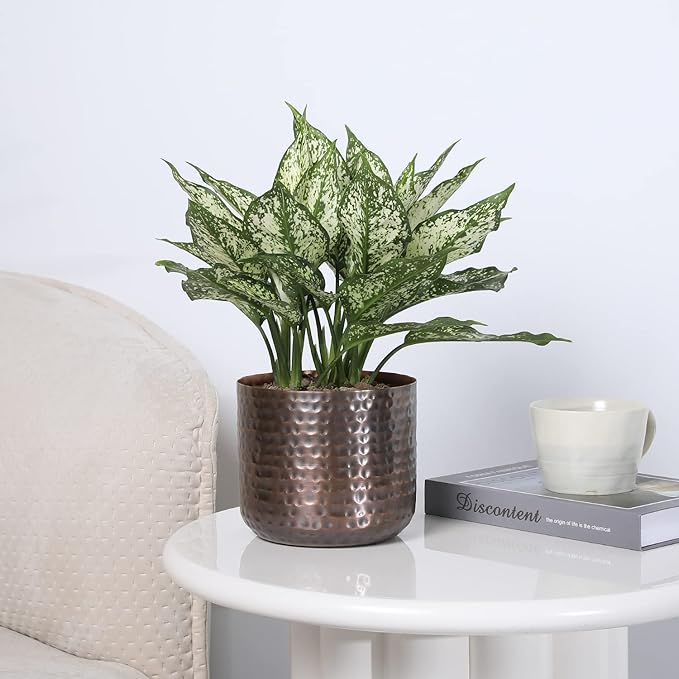 MyGift 6 Inch Vintage Copper Tone Metal Vase, Flower Pot with Hammered Texture, Cylindrical Indoor Succulent Plant Container - Handcrafted in India