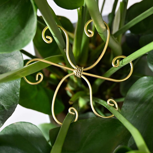 5PCS Monstera Plant Stem Support Stakes - 5.5 * 5.5IN Metal Supports for Monstera and Fishbone